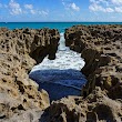 The Nature Conservancy Blowing Rocks Preserve