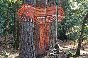 Bosc pintat de Poblet image
