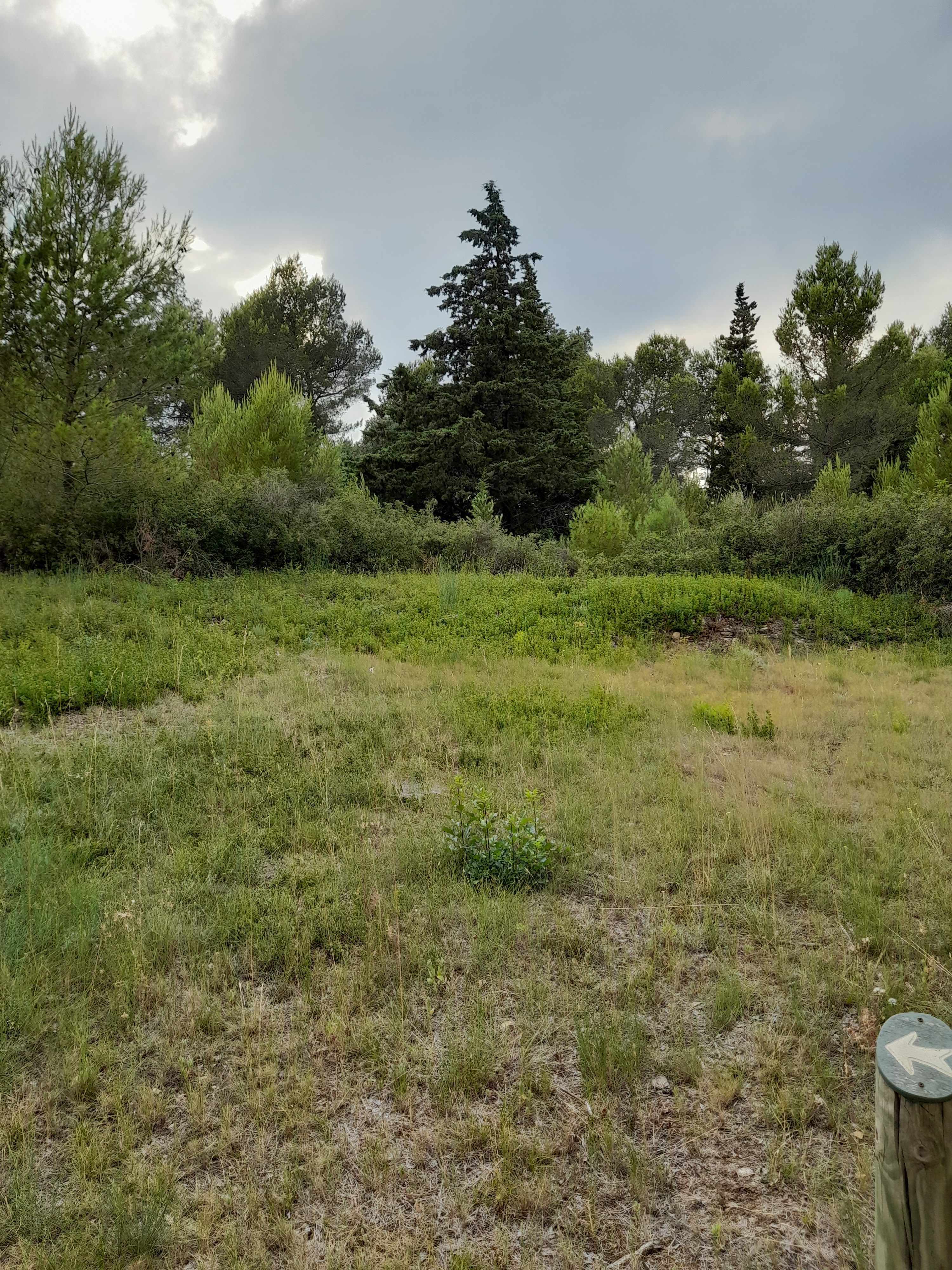 Photo n° 17 de l'avis de Bilbon.A fait le 20/06/2022 à 20:00