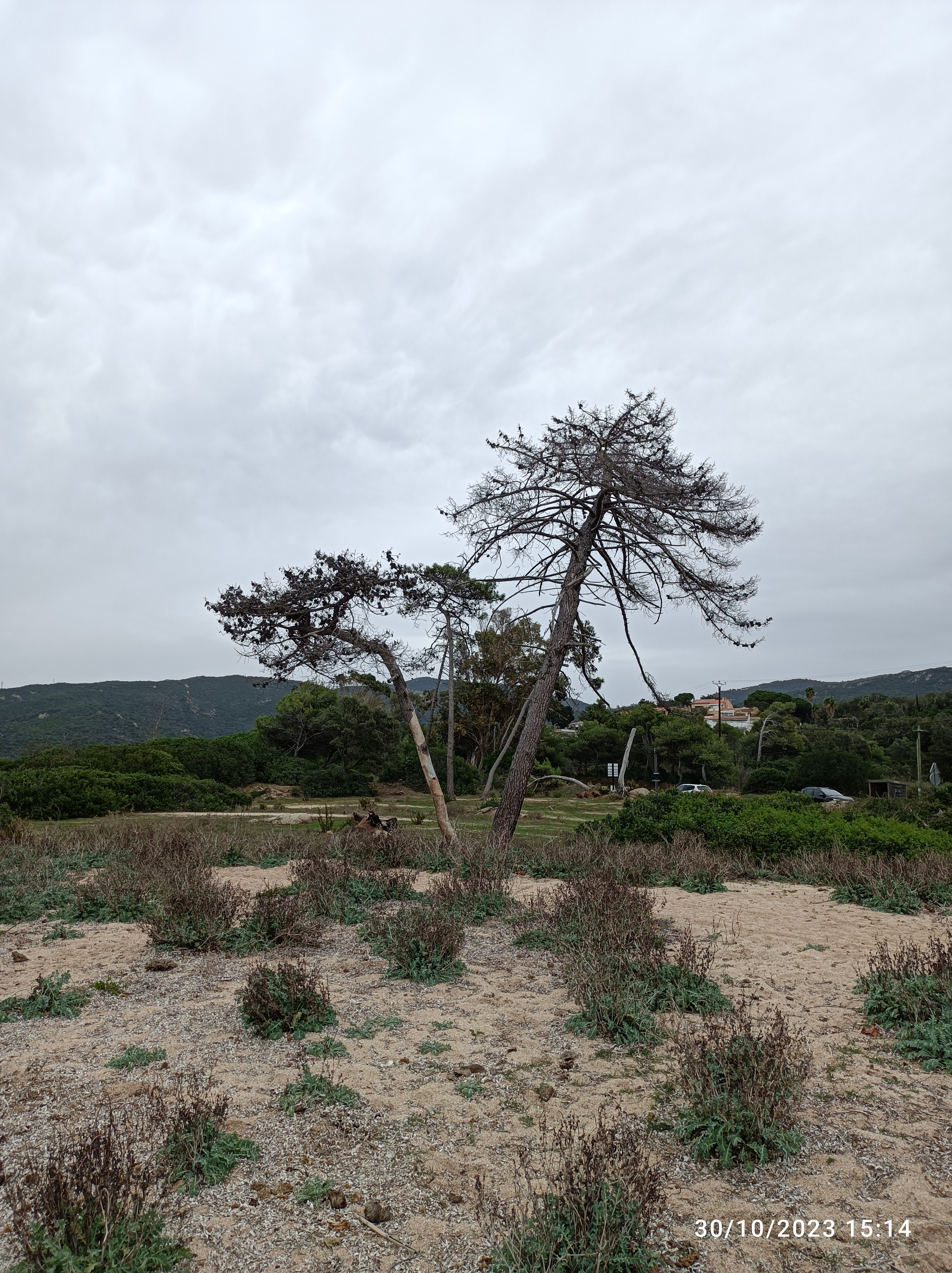 Photo n° 6 de l'avis de Patricia.a fait le 30/10/2023 à 16:47
