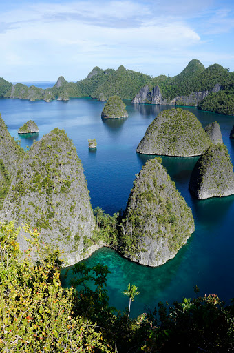 Travel Agency «SkyPath Travel», reviews and photos, 4221 NW 126th Ave, Portland, OR 97229, USA