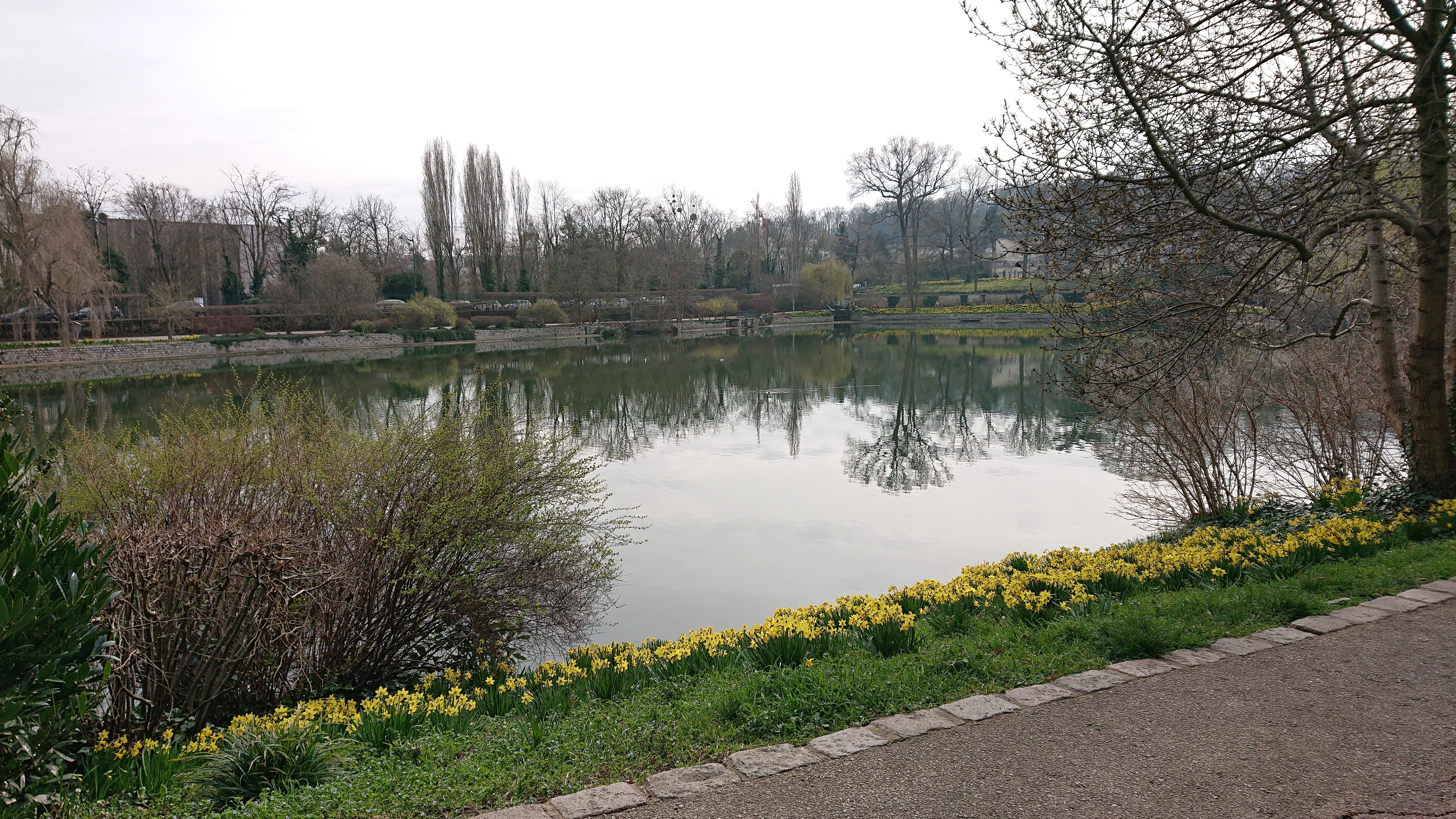 Photo n° 1 de l'avis de STEPHANE.O fait le 02/03/2022 à 22:44