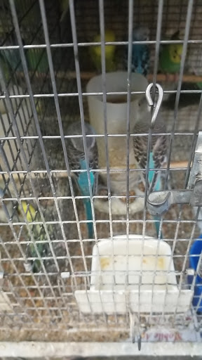 Animal Feed Store «Farmers Feed & Pet Supply», reviews and photos, 1302 E Miner Ave, Stockton, CA 95205, USA