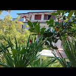 Photo n°2 de l'avis de Aldigero.a fait le 05/03/2024 à 01:46 sur le  Ale's Pizza à Marina di Massa