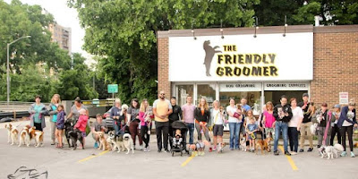 The Friendly Groomer