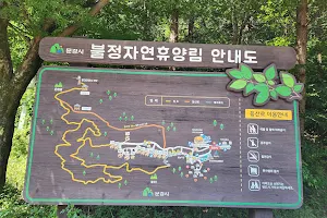 Buljeong Recreational Forest image