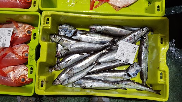 Imagen de Pescadería Llastres (12 de 25)