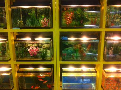 Pet Supply Store «Rutser Pet Store», reviews and photos, 5418 E Beverly Blvd, East Los Angeles, CA 90022, USA