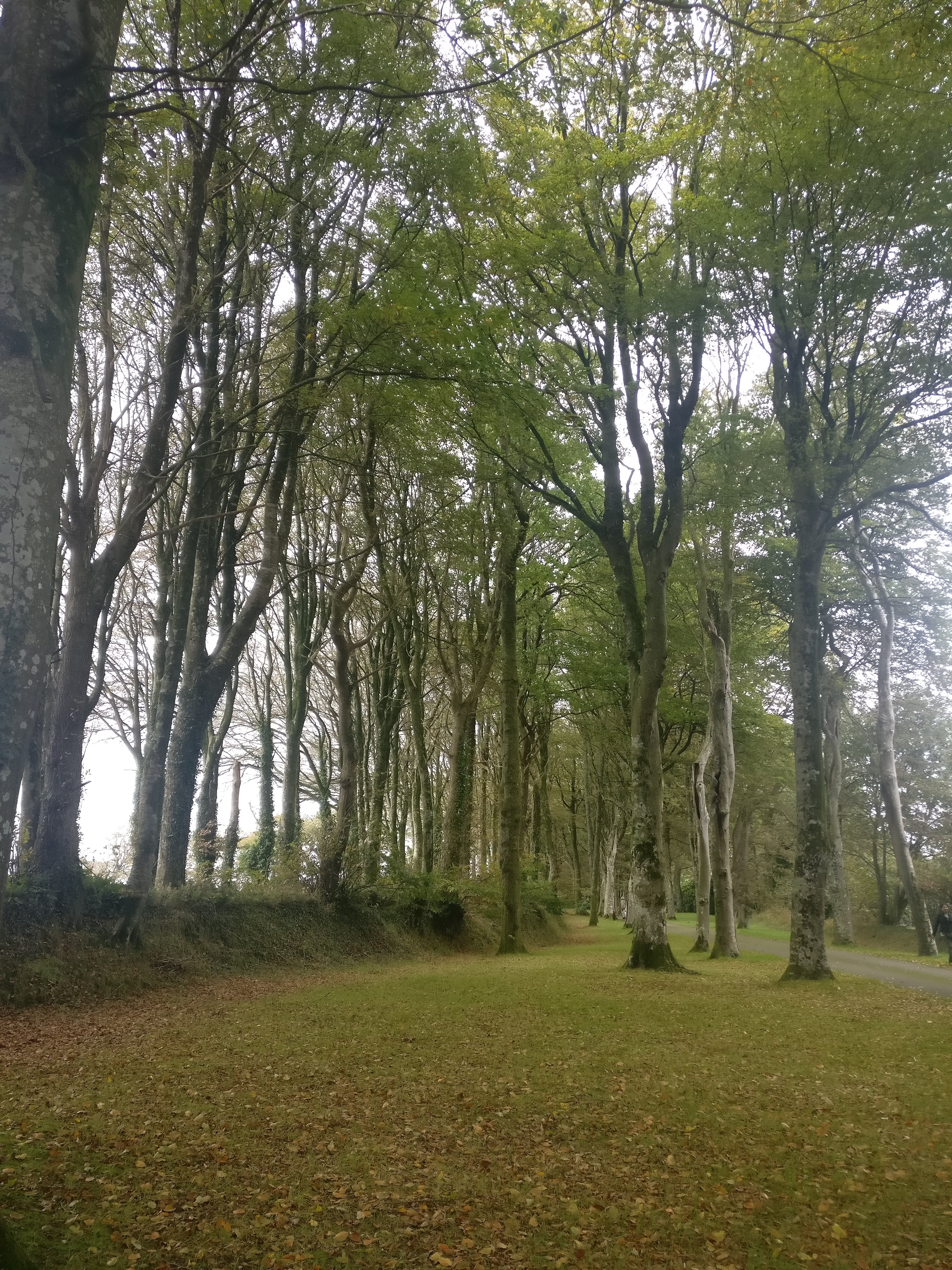 Photo n° 4 de l'avis de Kaylee.a fait le 13/10/2019 à 06:26