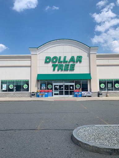 Dollar Store «Dollar Tree», reviews and photos, 9 Plaistow Rd, Plaistow, NH 03865, USA