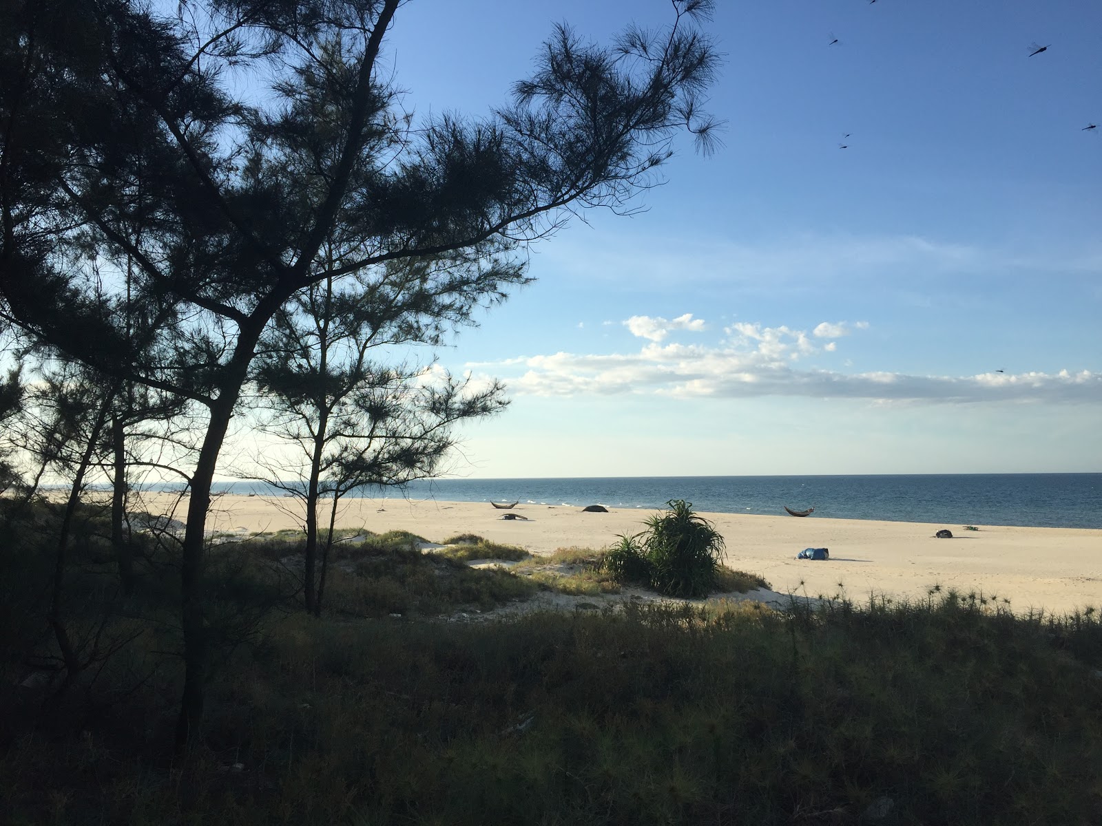 Trieu Lang Beach photo #8
