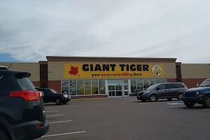 Giant Tiger image