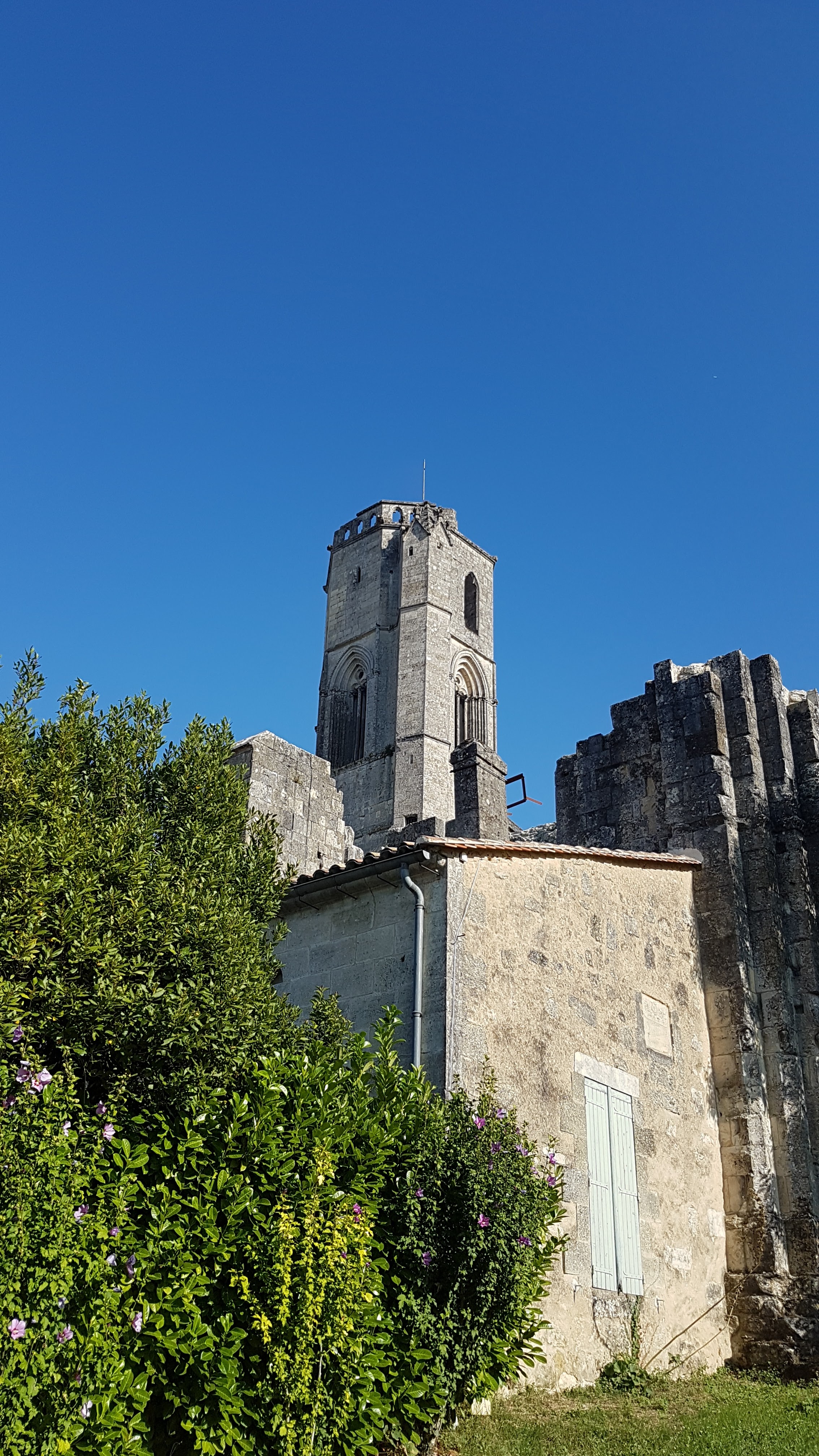 Photo n° 1 de l'avis de Gui.9 fait le 21/08/2019 à 07:36