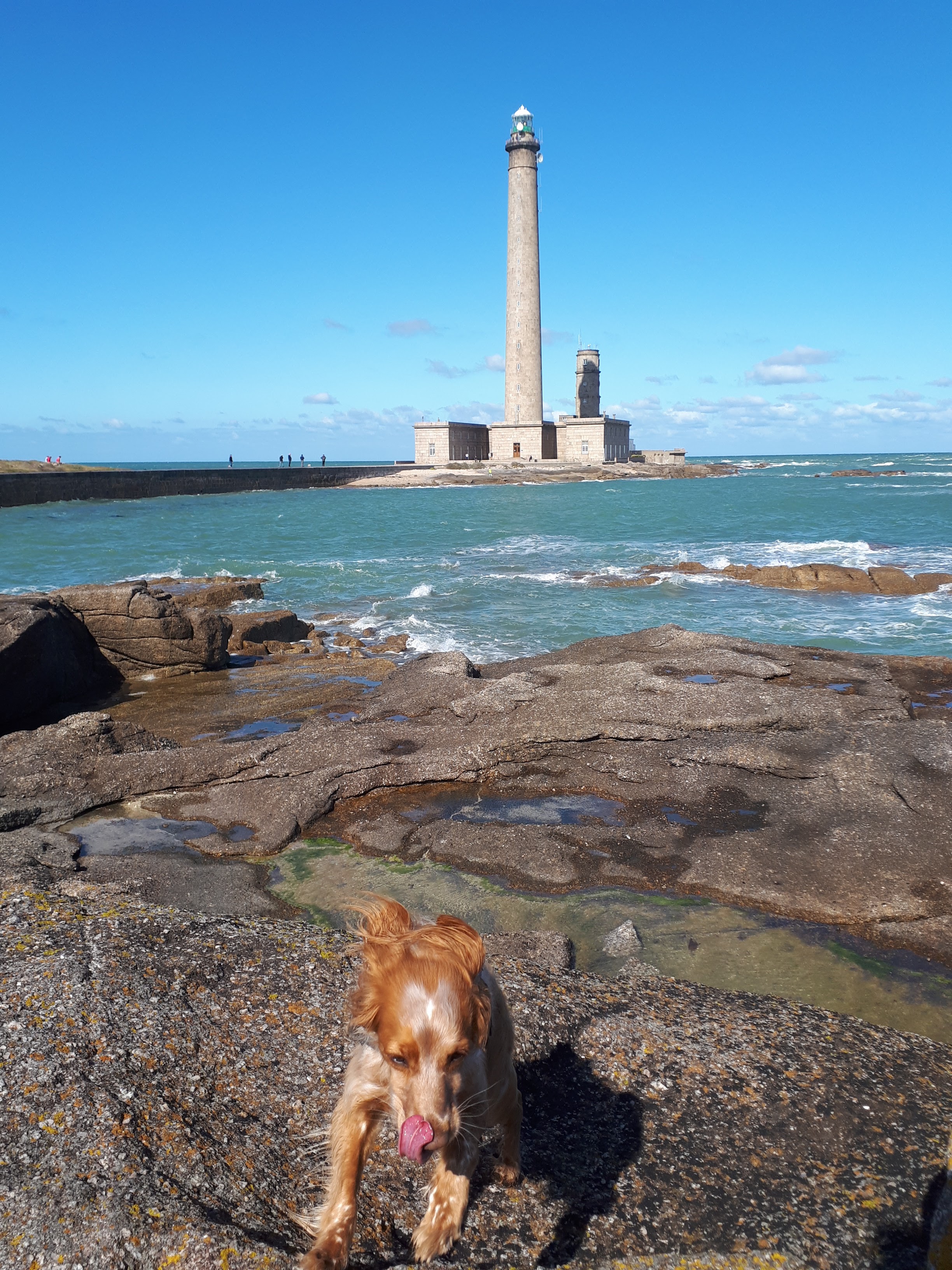 Photo n° 12 de l'avis de nathalie.a fait le 20/09/2019 à 08:30