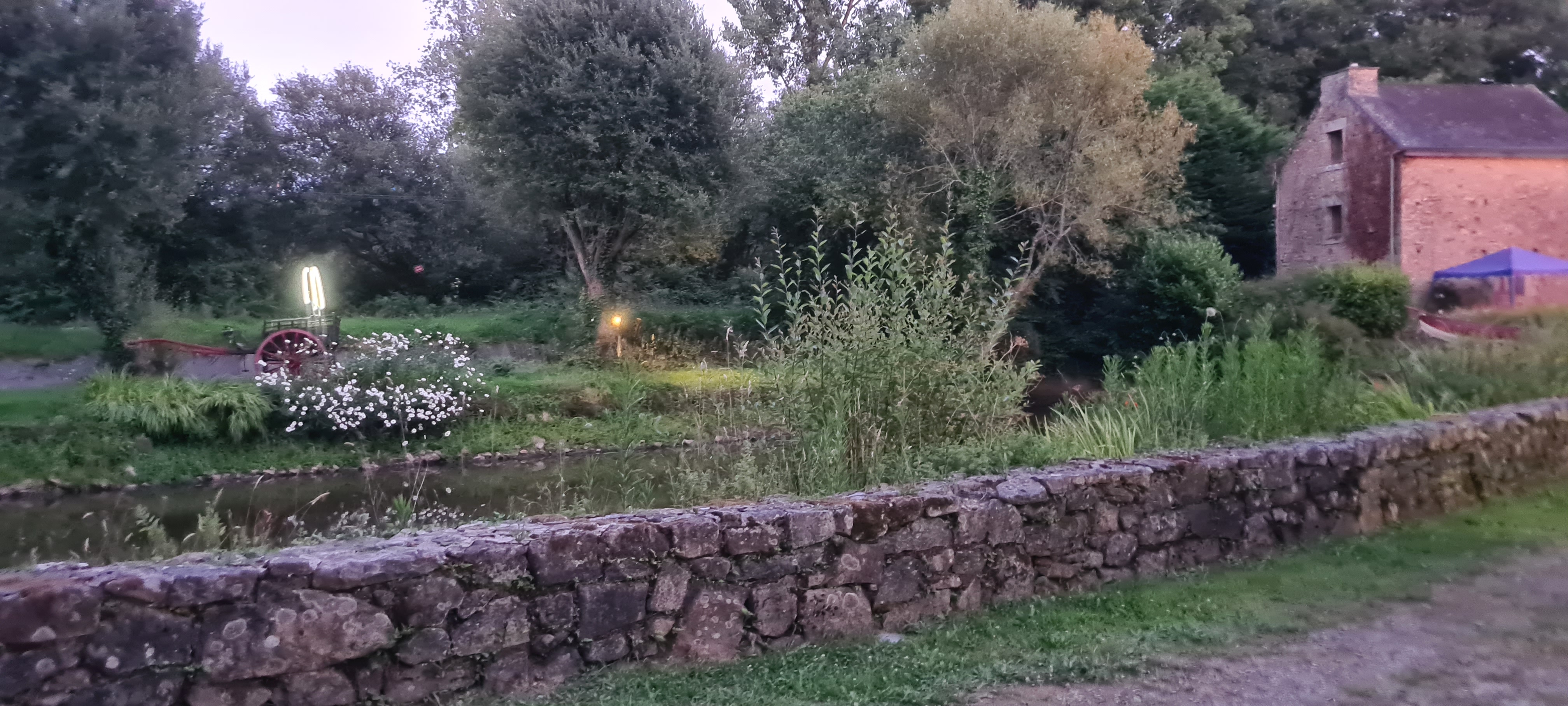 Photo n° 3 de l'avis de Mélusine. fait le 20/07/2020 à 09:27