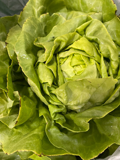 Health Food Store «Harvest Health Foods», reviews and photos, 4150 32nd Ave, Hudsonville, MI 49426, USA