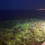 Photo n°3 de l'avis de GIADA. fait le 19/07/2019 à 05:43 sur le  Ristorante Casablanca à Bari