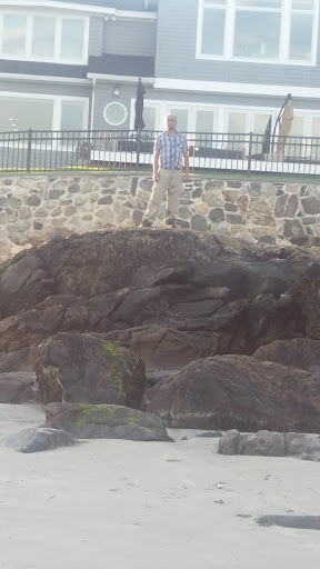 Garden «Lynch Park Rose Garden», reviews and photos, Lynch Park, Beverly, MA 01915, USA