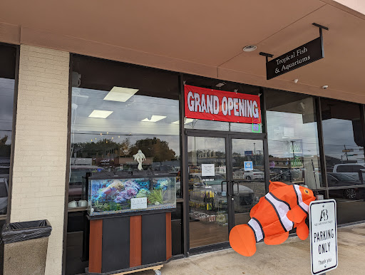 Fish Gallery Boutique