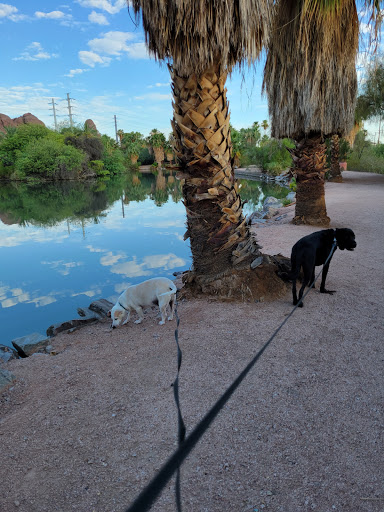 Park «Evelyn Hallman Park», reviews and photos, 1900 N College Ave, Tempe, AZ 85281, USA