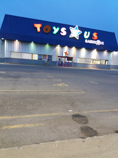 Toy Store «Toys