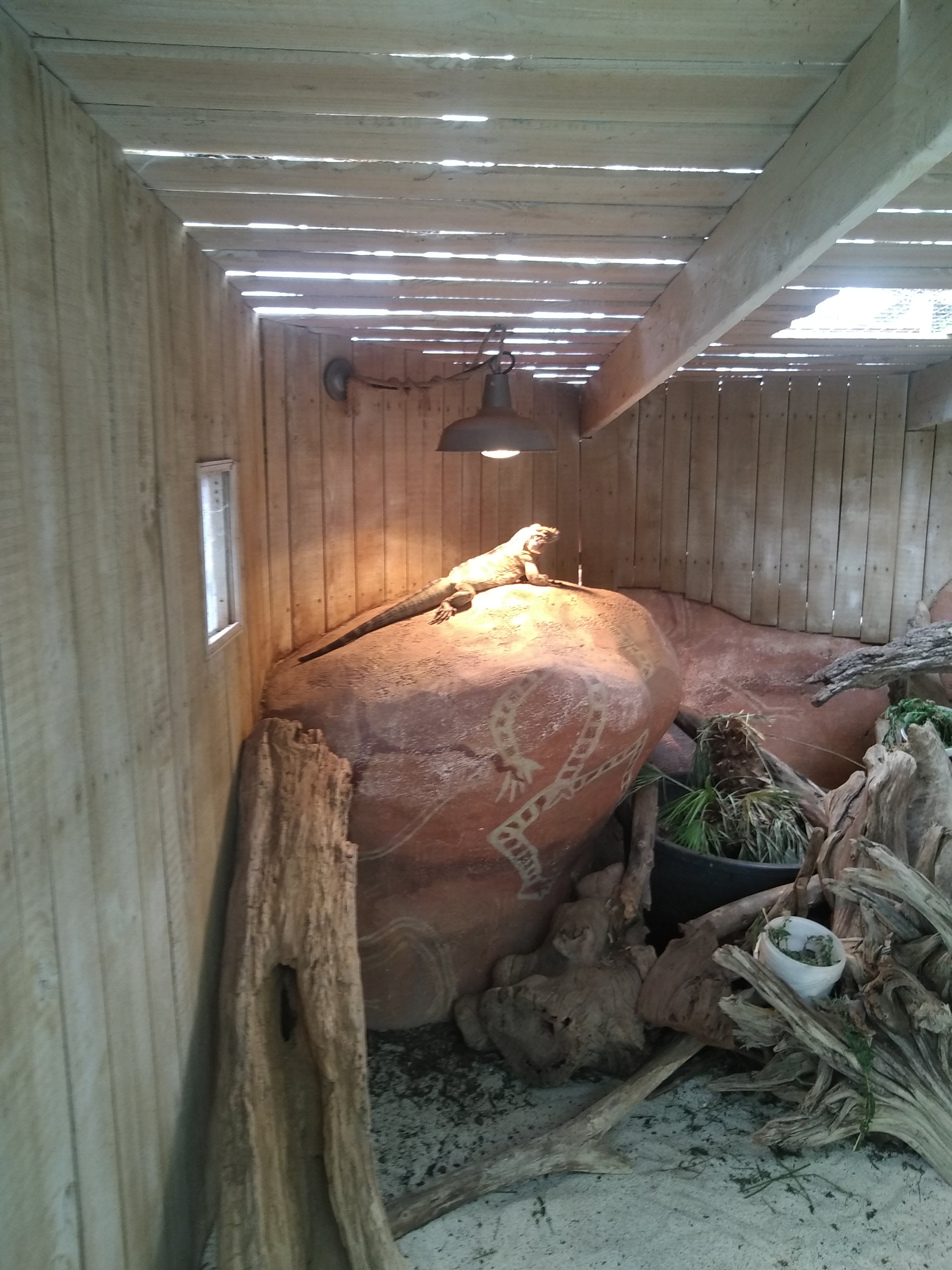 Photo n° 1 de l'avis de Antony.b fait le 16/08/2020 à 13:39