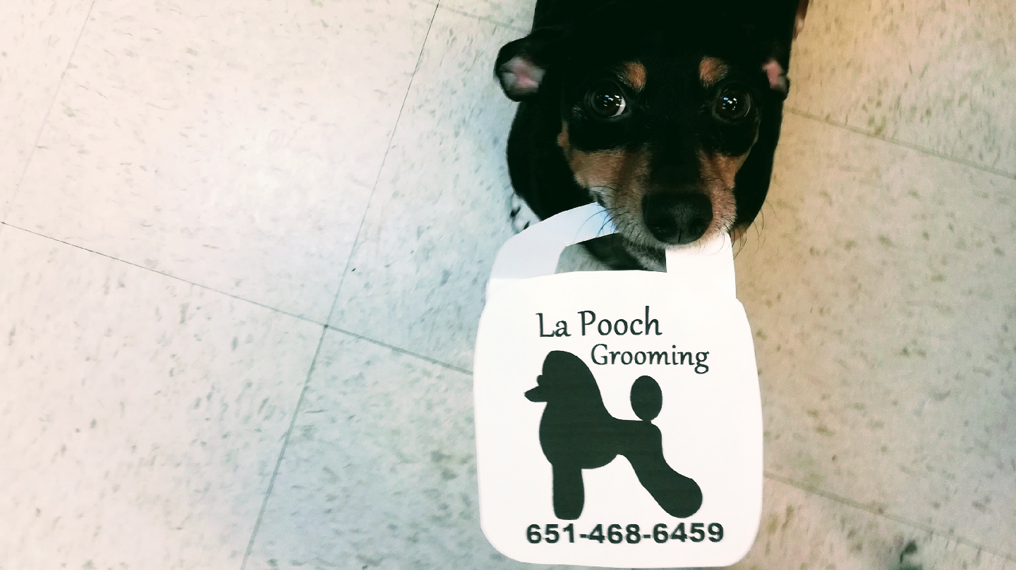 La' Pooch Grooming