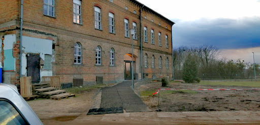 Tierarzt Dr. Frank Dieffenbacher Praxis für Groß & Klein unter Neustrelitz, 