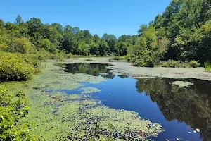 Sloan's Crossing Pond Trailhead image