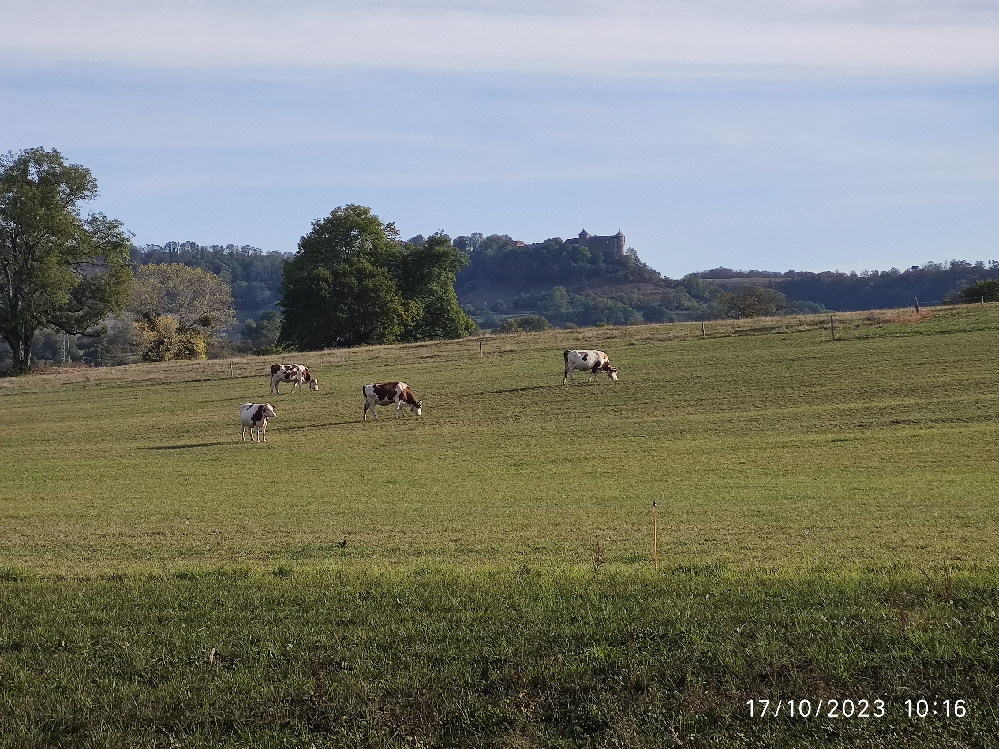 Photo n° 32 de l'avis de Patrick.i fait le 12/12/2023 à 10:07