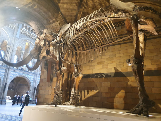 Comments and reviews of The Natural History Museum