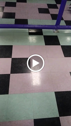 Amusement Center «Odyssey-1», reviews and photos, 2310 Mildred St W, Tacoma, WA 98466, USA