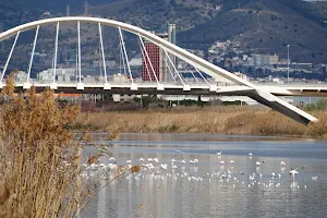 Pont Nelson Mandela image