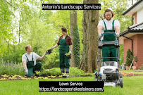 Antonio's Landscape Services - Photo 1 - Car repair in , Menifee