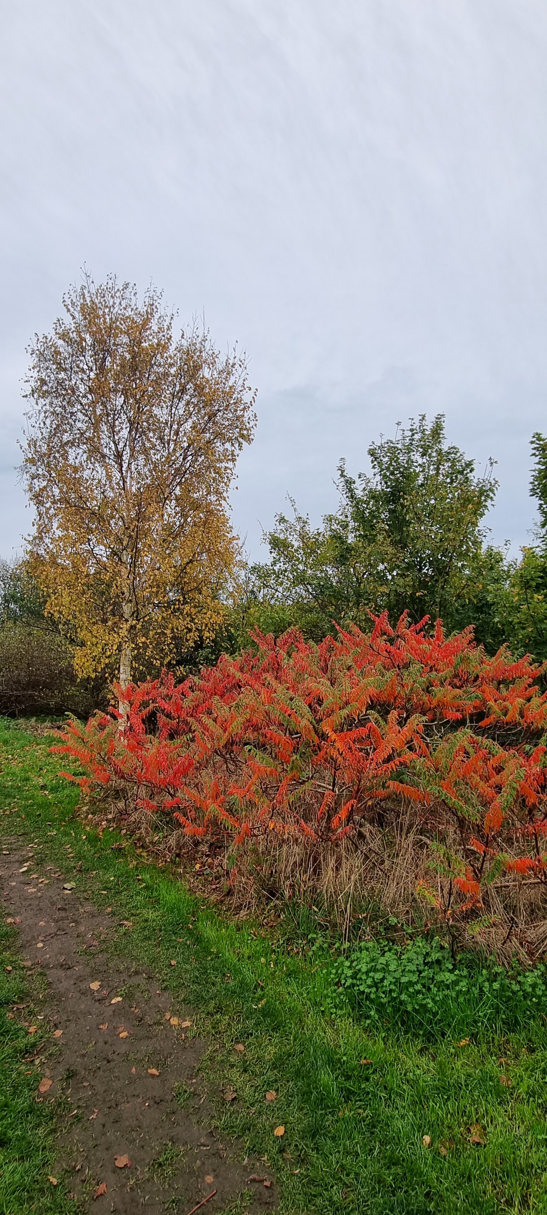 Photo n° 4 de l'avis de Pascal.. fait le 31/10/2022 à 19:41