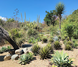 Jardín Etnobotánico de Oaxaca photo