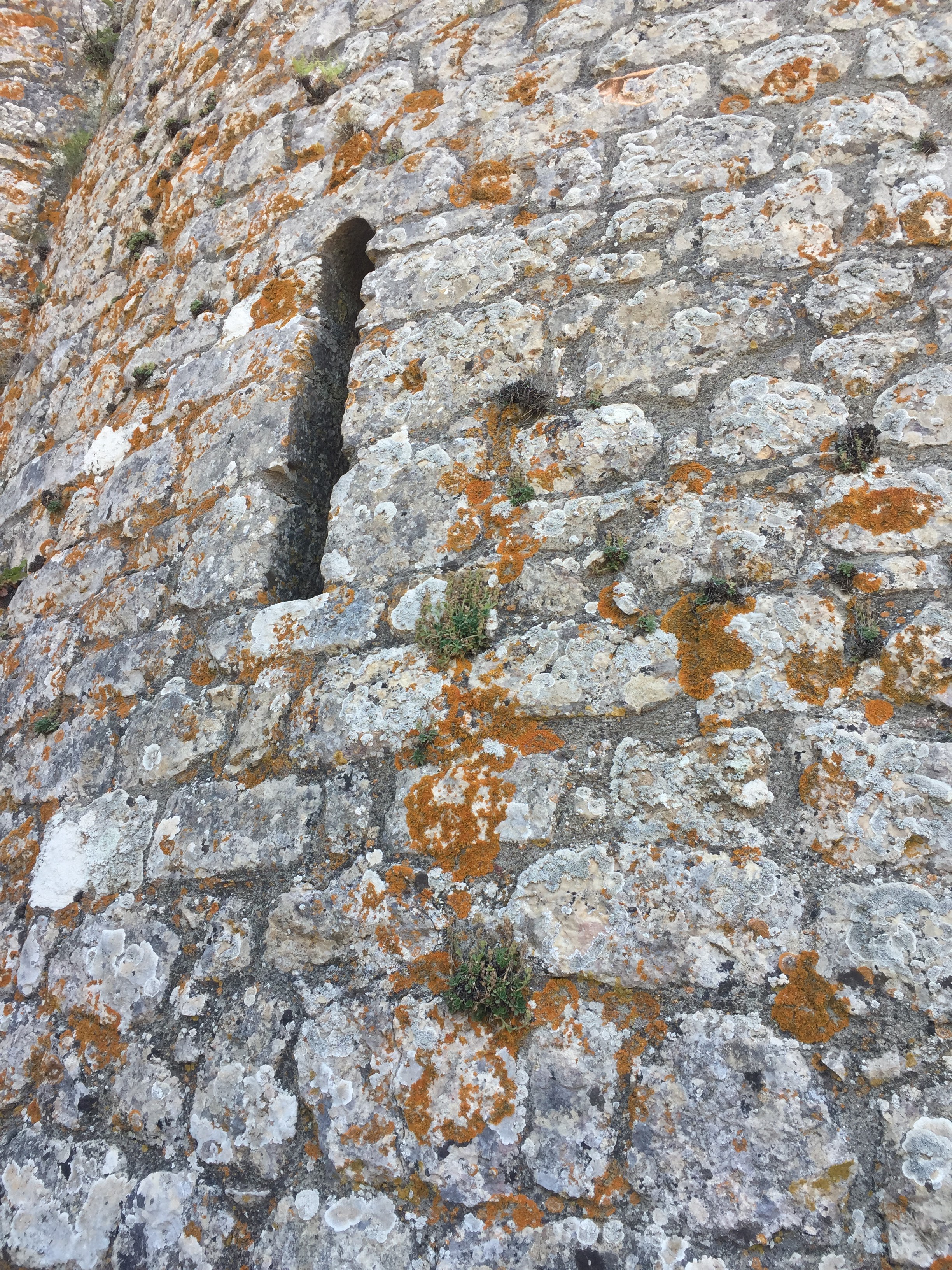 Photo n° 15 de l'avis de Renata.A fait le 29/07/2022 à 08:43