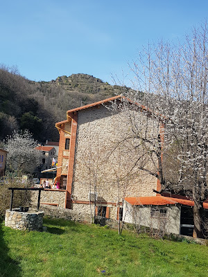 Café communal à Montferrer