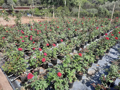 Horticultura Dot S.P. en La Palma de Cervello