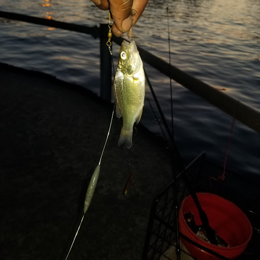 Nature Preserve «Cleveland Lakefront Nature Preserve», reviews and photos, 8701 Lakeshore Blvd, Cleveland, OH 44108, USA