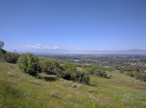 Fernwood Recreation Site