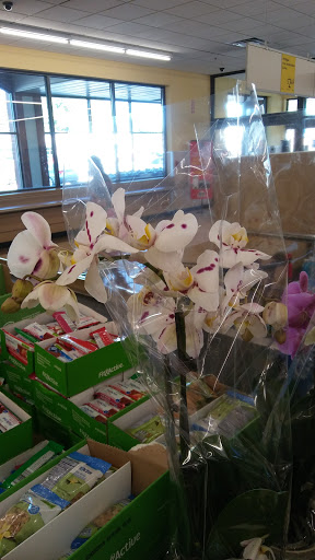 Supermarket «ALDI», reviews and photos, 12215 Western Ave, Blue Island, IL 60406, USA