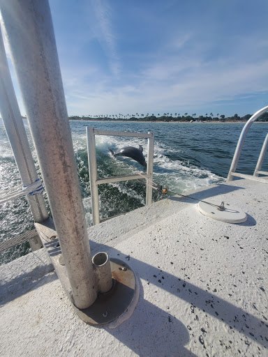 Boat Tour Agency «Dolphin Snorkeling Cruise», reviews and photos, 4630 29th Ave S, Gulfport, FL 33711, USA