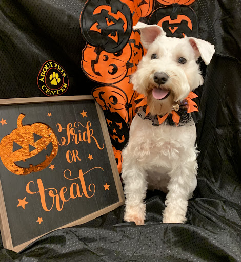 Pet Boarding Service «About Pets Center», reviews and photos, 1604 Conehurst Blvd, Salem, VA 24153, USA