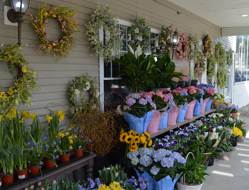 Florist «The Frugal Flower», reviews and photos, 736 Boston Post Rd, Sudbury, MA 01776, USA
