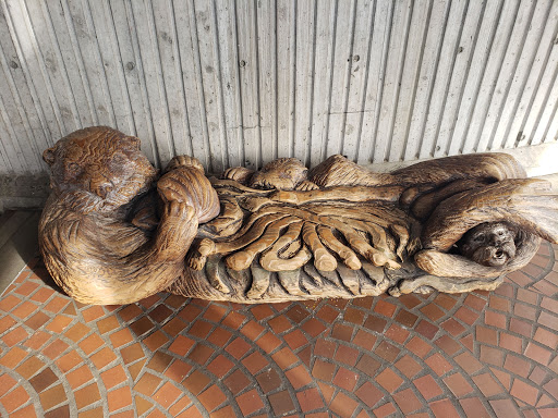 Gift Shop «Seattle Aquarium Gift Store», reviews and photos, 1483 Alaskan Way, Seattle, WA 98101, USA