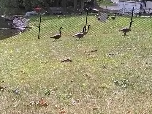 Arts Organization «Arts on the Lake», reviews and photos, 640 NY-52, Carmel, NY 10512, USA