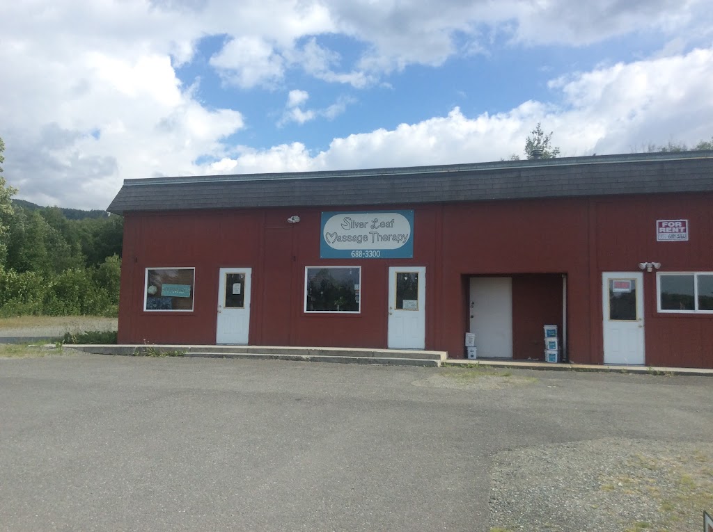 Silver Leaf Massage Therapy 99567