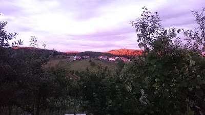 Photos of Pčelarstvo Hodžić