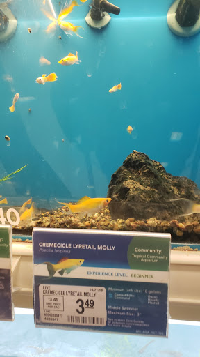 Pet Supply Store «PetSmart», reviews and photos, 67 Consumer Square, Plattsburgh, NY 12901, USA